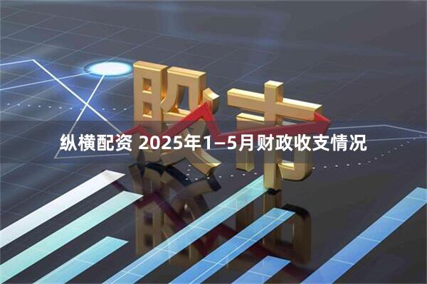 纵横配资 2025年1—5月财政收支情况