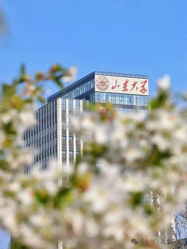 优配货主 多少分可以上山东大学？