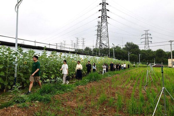 恒财网 丰台云岗街道：校地融合搭实践平台 区域发展引创新“活水”