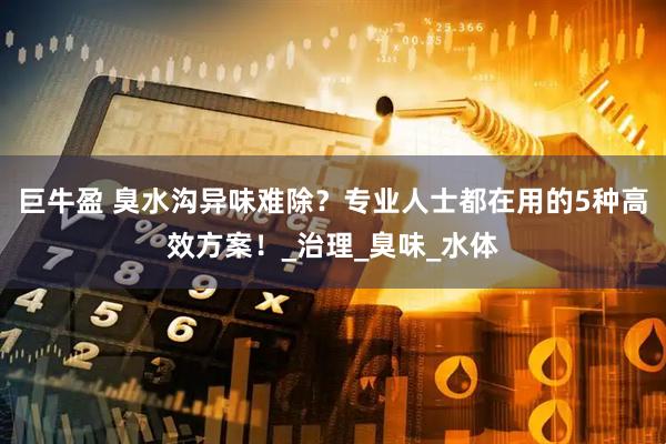 巨牛盈 臭水沟异味难除？专业人士都在用的5种高效方案！_治理_臭味_水体