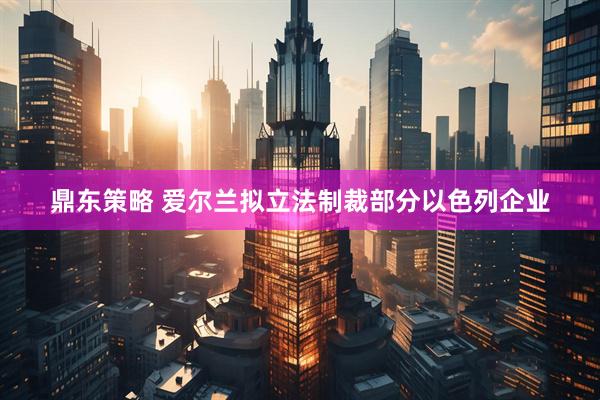 鼎东策略 爱尔兰拟立法制裁部分以色列企业