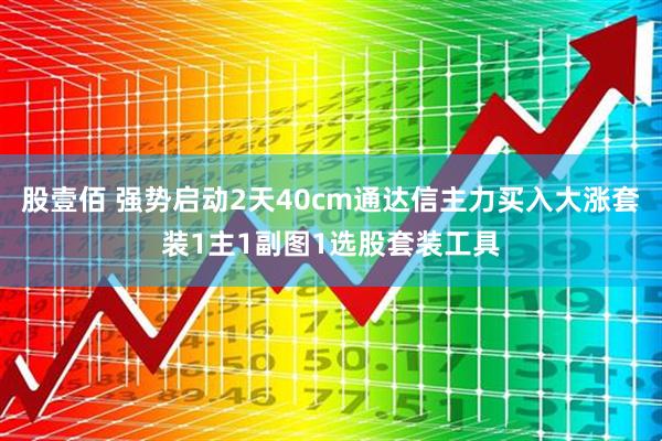股壹佰 强势启动2天40cm通达信主力买入大涨套装1主1副图1选股套装工具