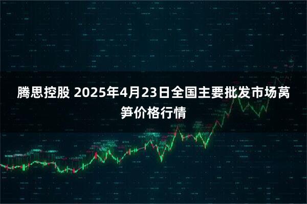 腾思控股 2025年4月23日全国主要批发市场莴笋价格行情