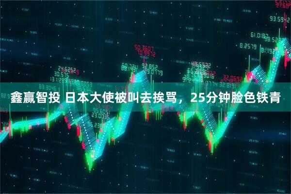 鑫赢智投 日本大使被叫去挨骂，25分钟脸色铁青